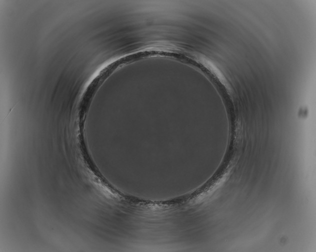 X0000091490923200708161435