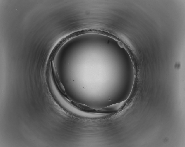 X0000091490924200708161435
