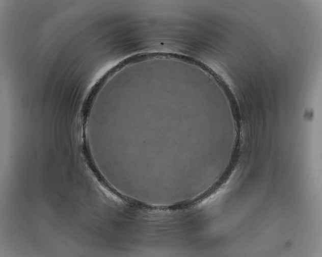 X0000091490925200708161435