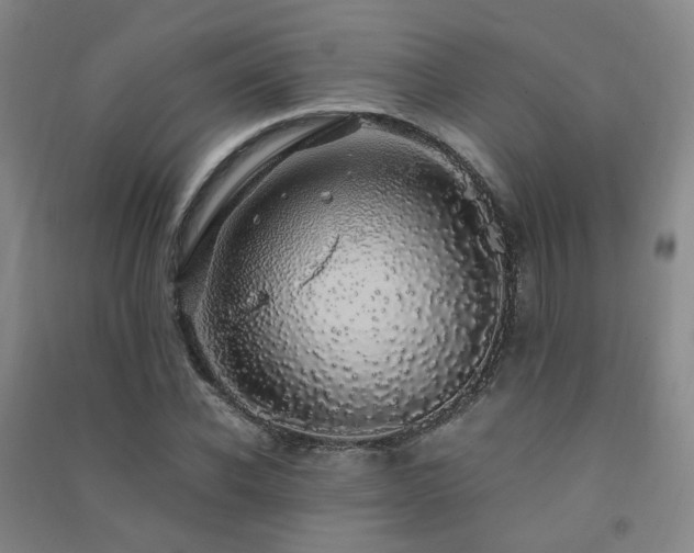 X0000091490926200708161435