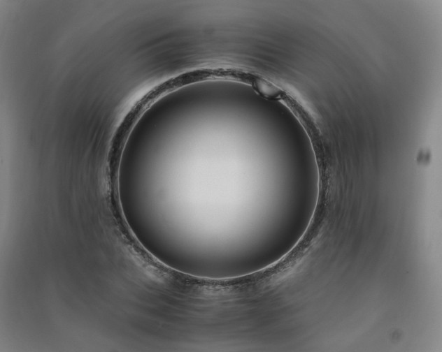 X0000091490927200708161435