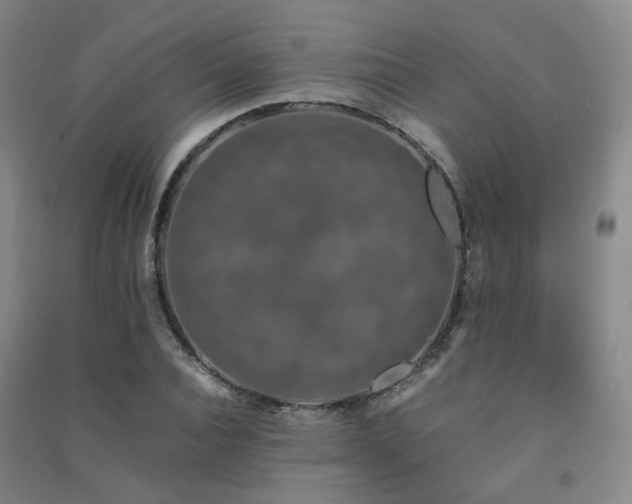 X0000091490928200708161435