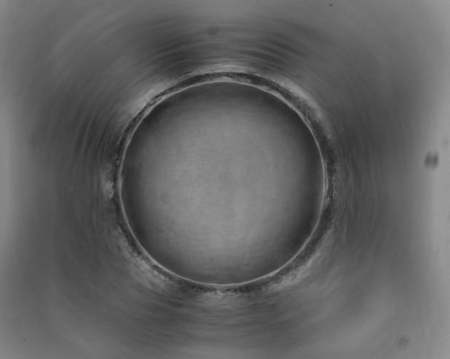 X0000091490929200708161435