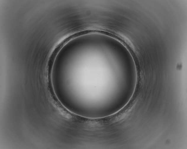 X0000091490931200708161435