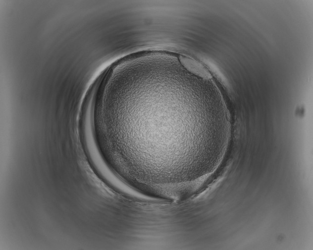 X0000091490932200708161435