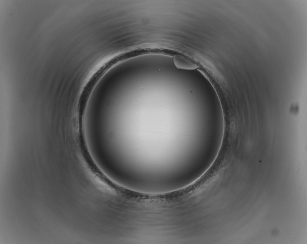 X0000091490934200708161435