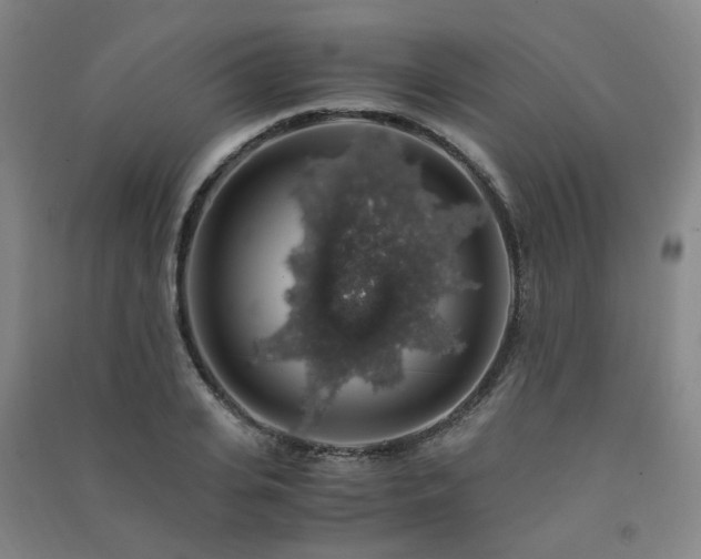 X0000091490935200708161435