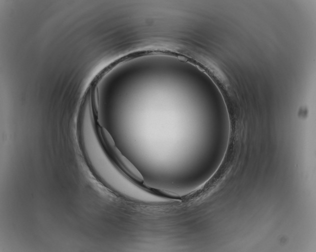 X0000091490936200708161435