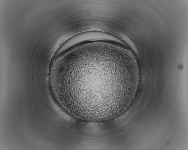 X0000091490938200708161435