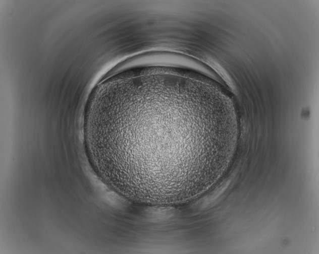 X0000091490939200708161435