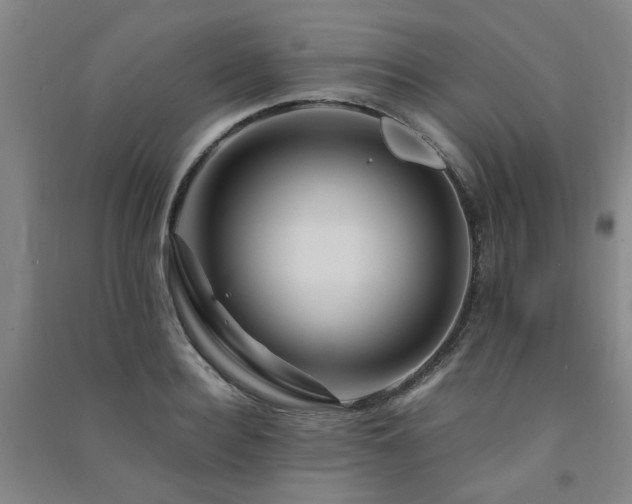 X0000091490940200708161436