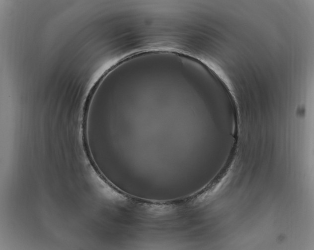 X0000091490941200708161436
