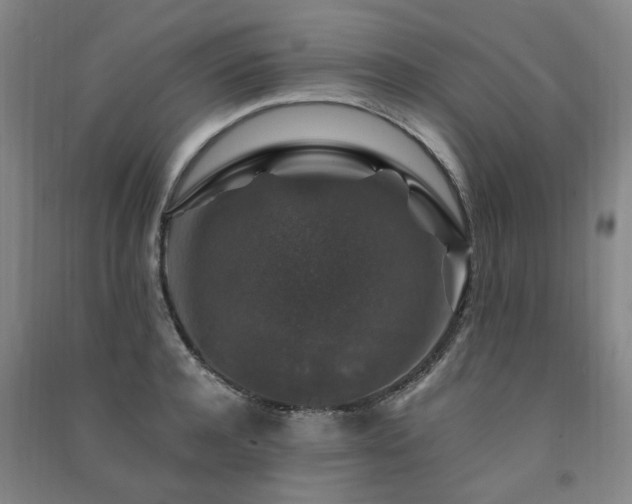 X0000091490944200708161436