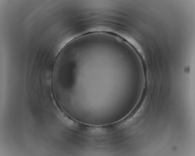 X0000091490945200708161436