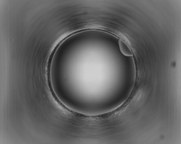 X0000091490947200708161436