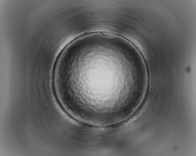 X0000091490949200708161436