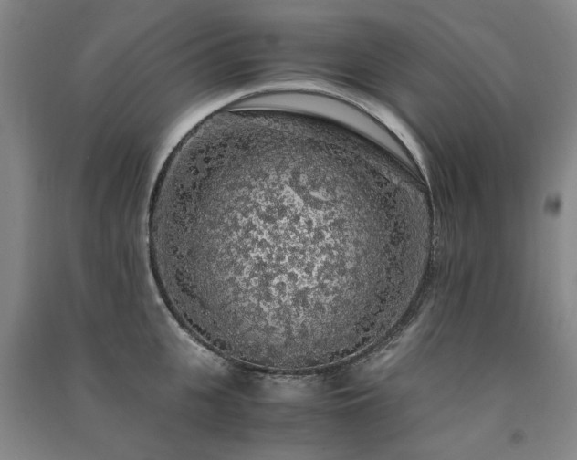 X0000091490951200708161436