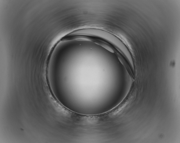 X0000091490952200708161436
