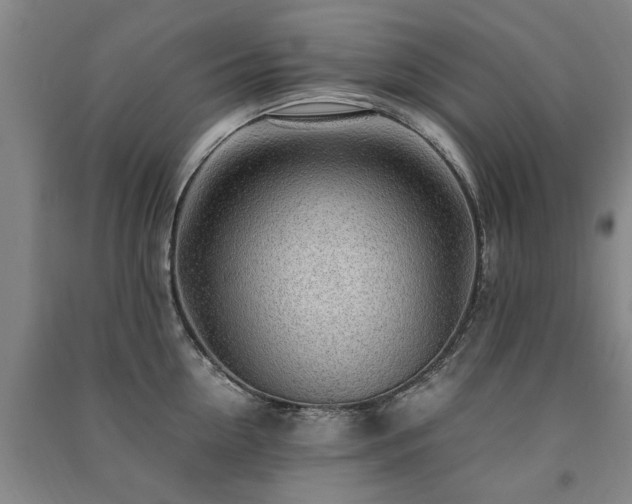 X0000091490954200708161436
