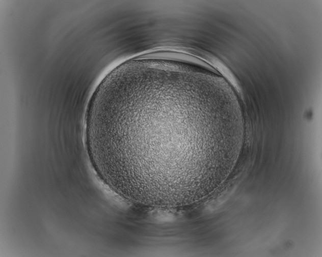 X0000091490955200708161436