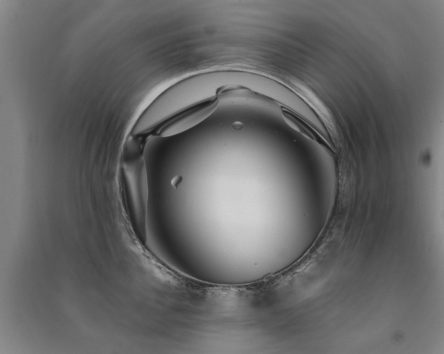 X0000091490956200708161436