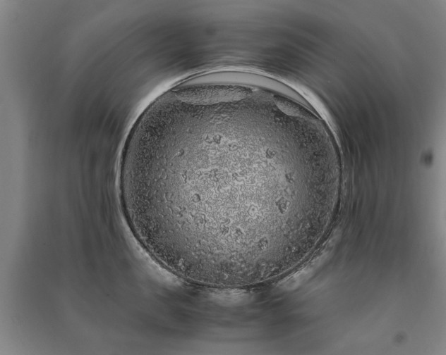 X0000091490957200708161436