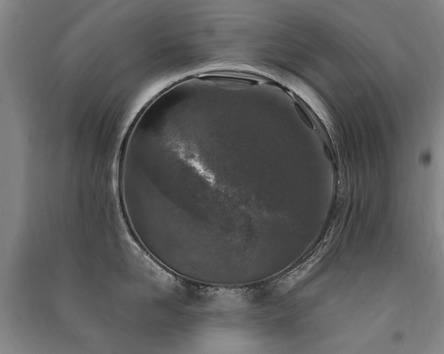 X0000091490958200708161436