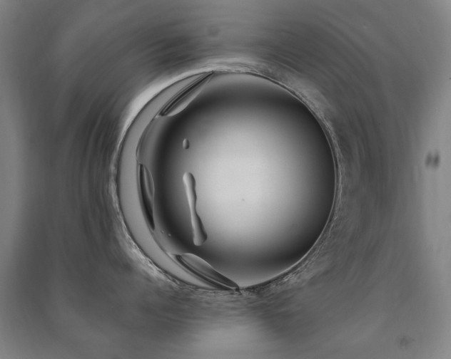 X0000091490960200708161436