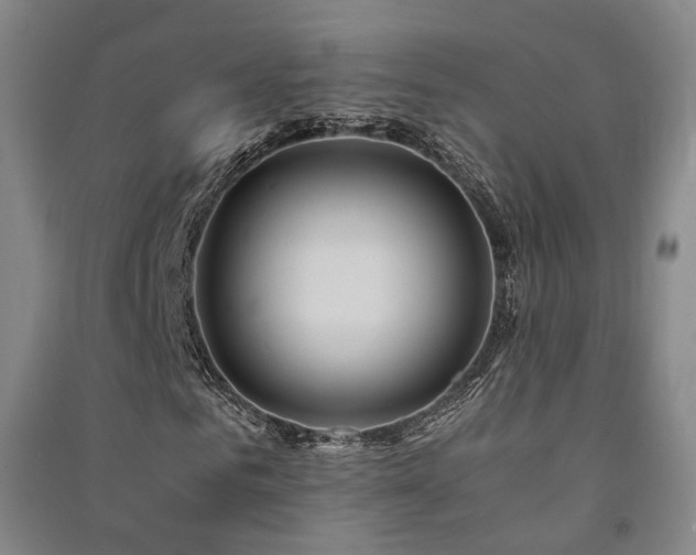 X0000091490961200708161435
