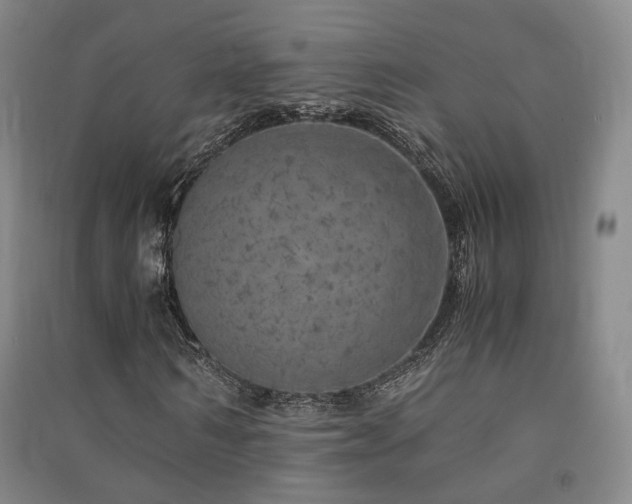 X0000091490962200708161435