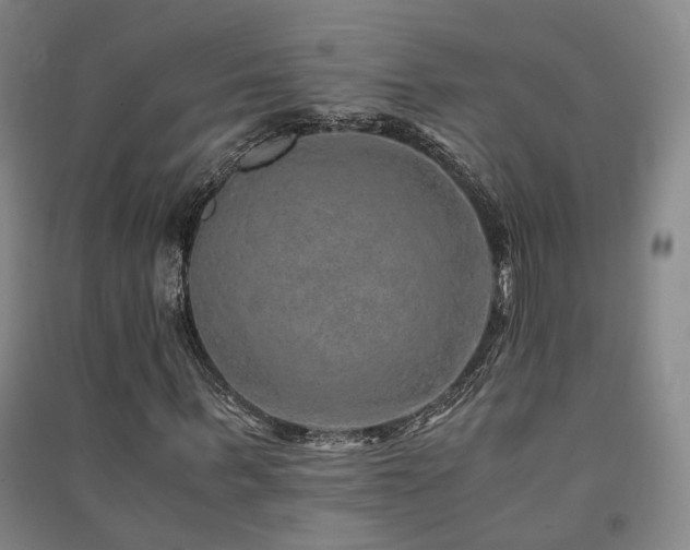 X0000091490963200708161435