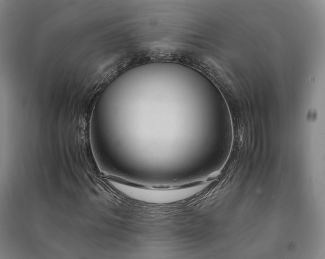 X0000091490964200708161435