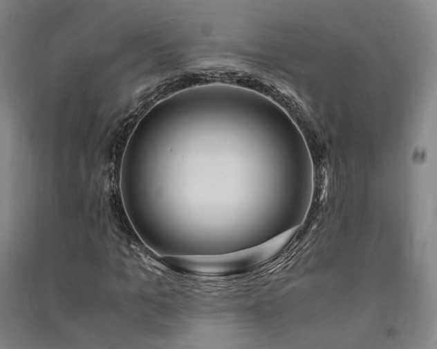 X0000091490965200708161435