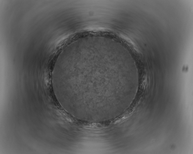 X0000091490966200708161435