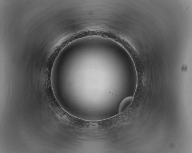 X0000091490968200708161435