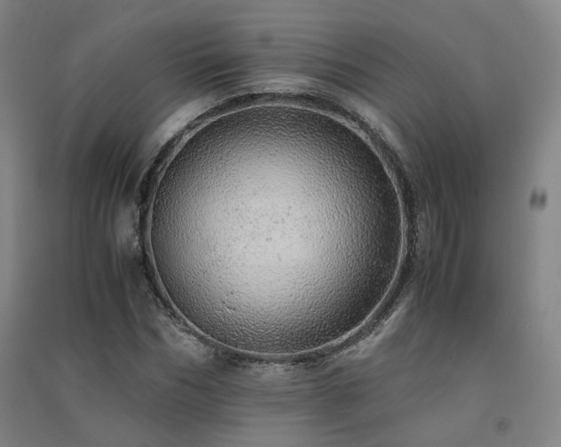 X0000091490970200708161435