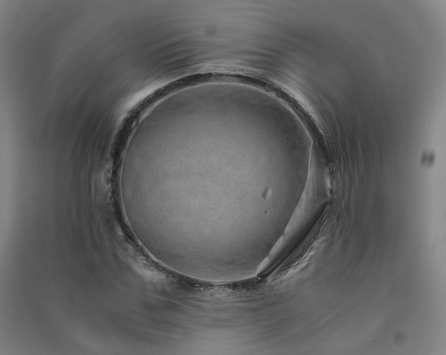 X0000091490971200708161435