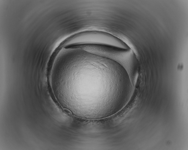 X0000091490972200708161435