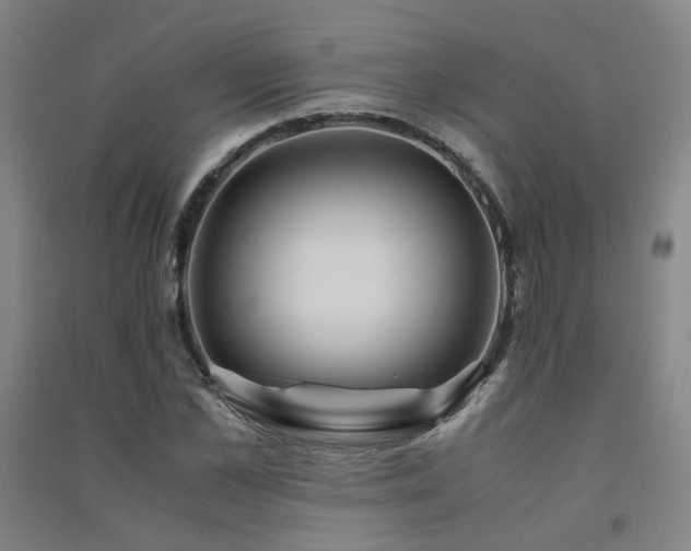 X0000091490973200708161435