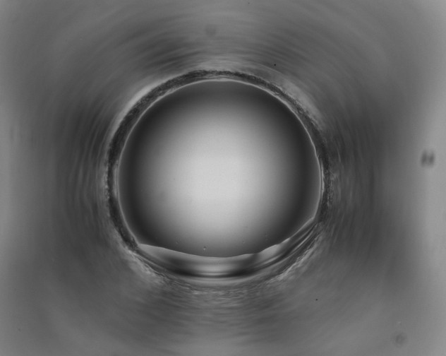 X0000091490976200708161435