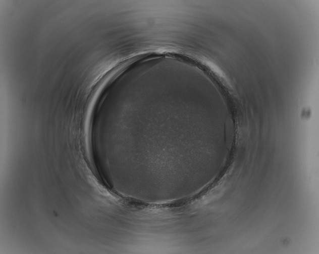 X0000091490977200708161435