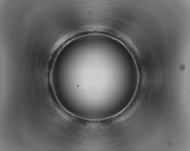 X0000091490978200708161435