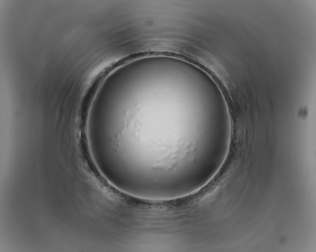 X0000091490979200708161435