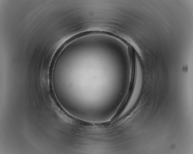 X0000091490980200708161435