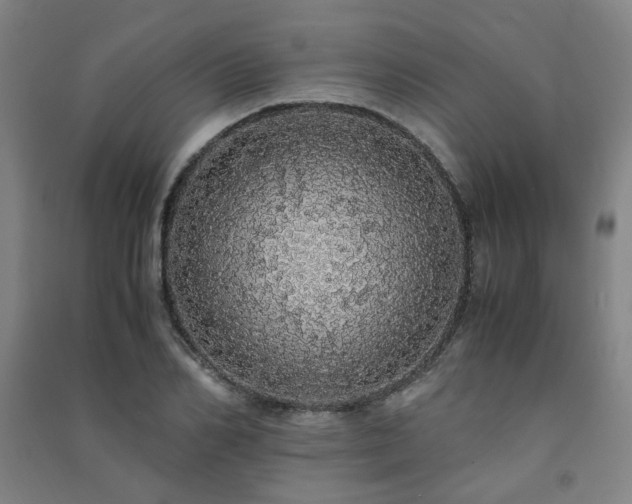X0000091490982200708161435