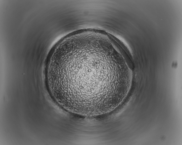X0000091490983200708161435