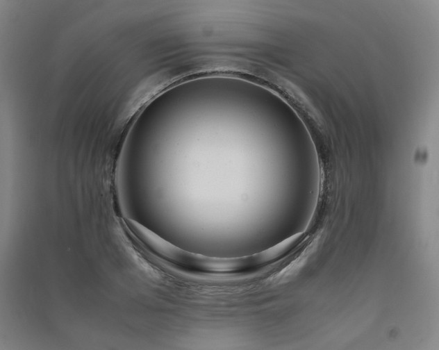 X0000091490985200708161435
