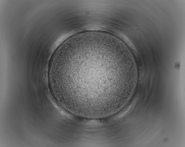 X0000091490986200708161435