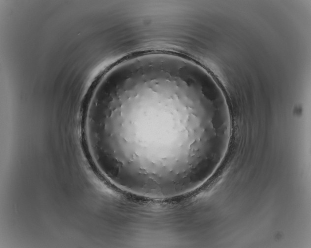 X0000091490987200708161435