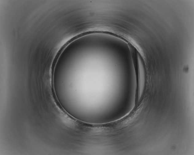 X0000091490988200708161435